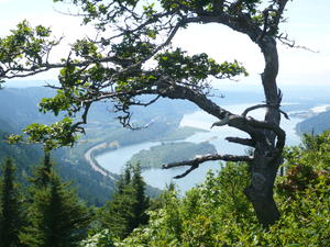 View from Dog Mountain